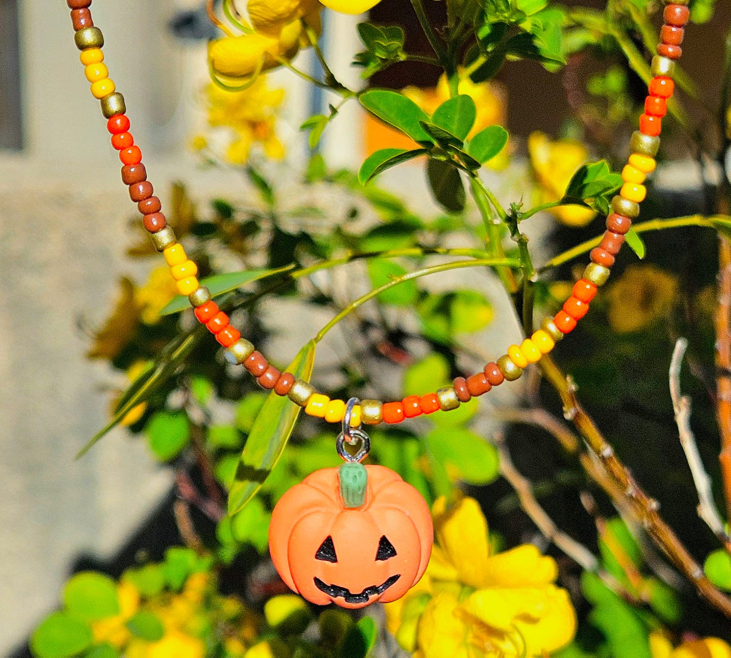 Collier Jack O’Light